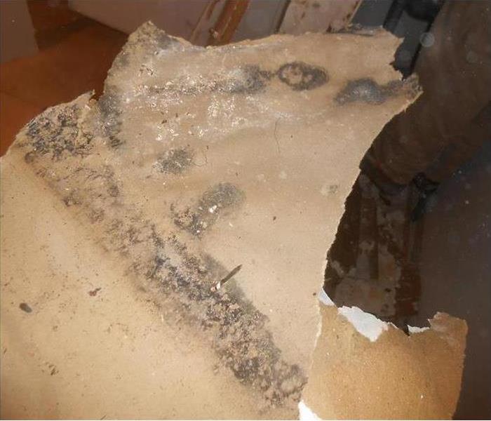 Drywall that has been demolished off of the wall with spots of mold.