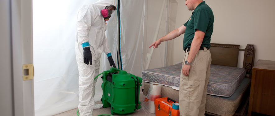 Claremont, CA mold removal process